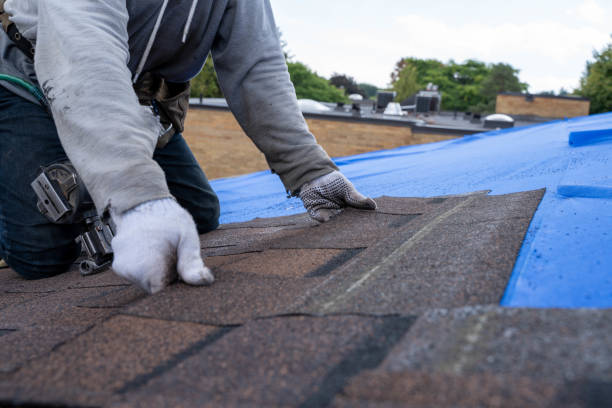 Best Roof Insulation Installation  in Marion, PA